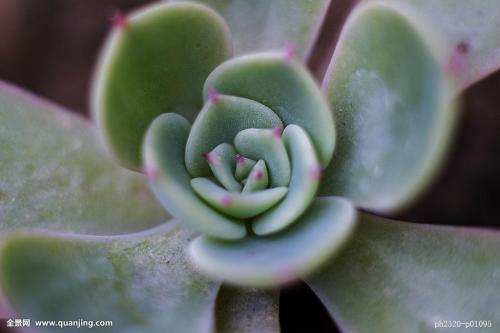 Сѧʱż ׶԰Ԫʱͣ԰